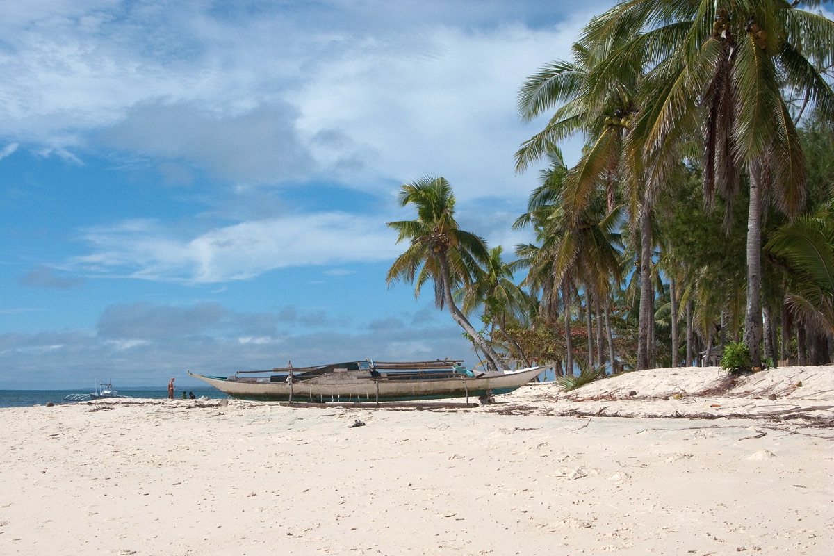 Plage tropicale avec palmiers