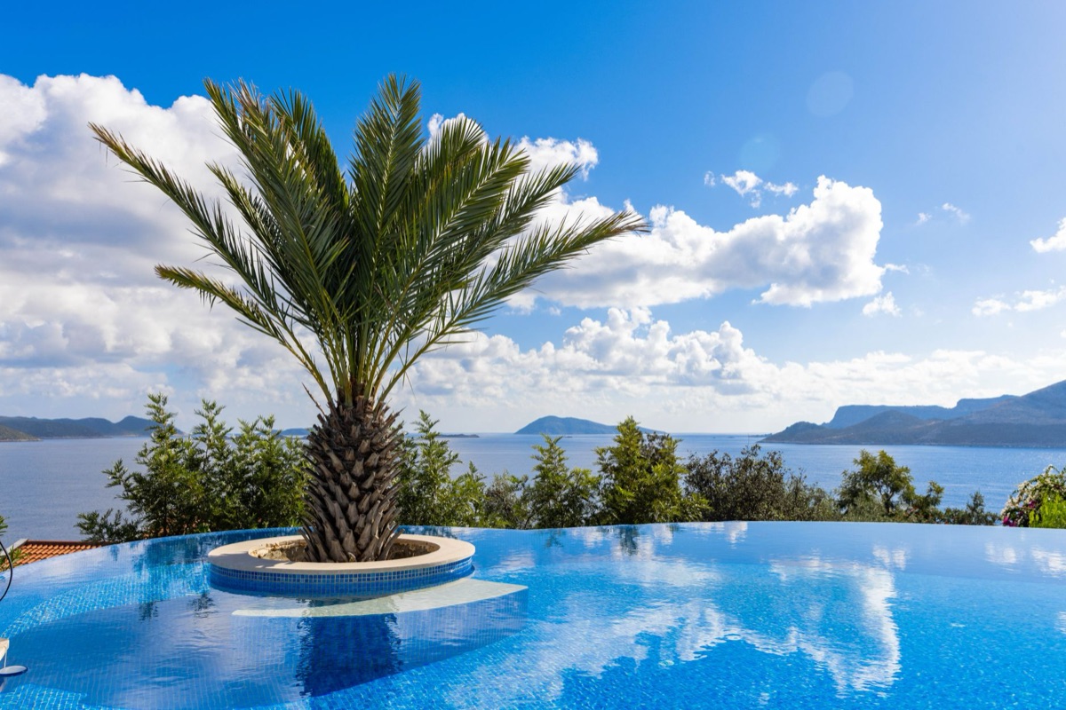 Piscina infinita con palme