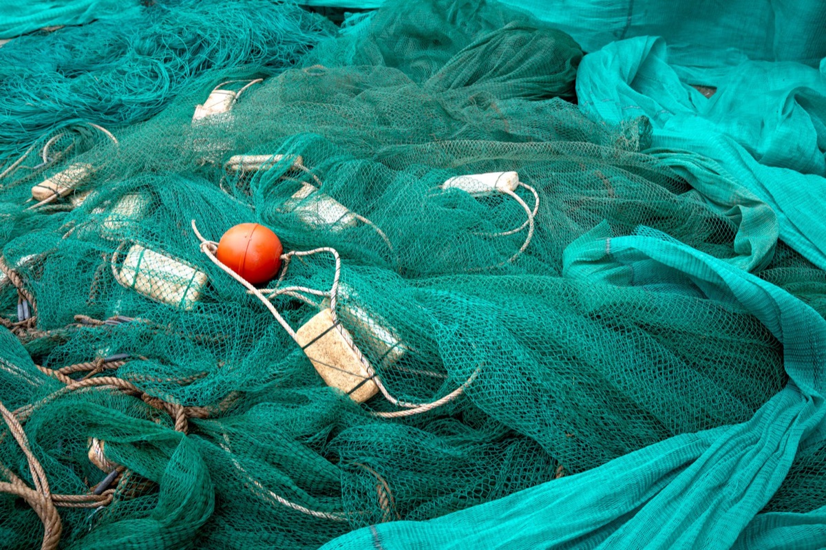 bahamian fisherman with net