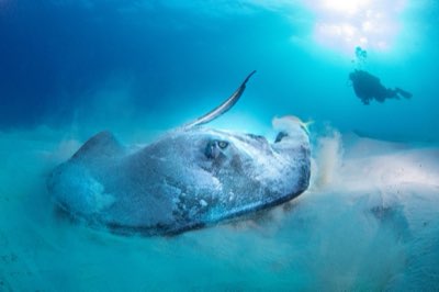 75 Meter Tiefe: Die Geologie des Blue Hole und Ihre Planung