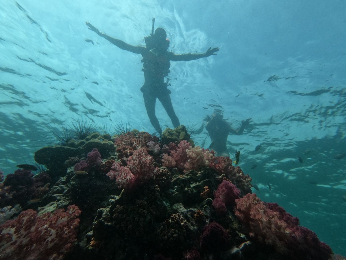 Snorkeling in blue hole with fish