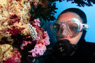Blue Hole Bahamas: Guia Essencial para Mergulho Seguro e Profundo