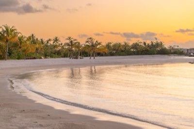 Pig Beach Bahamas: Logística y traslados desde Nassau (2h)