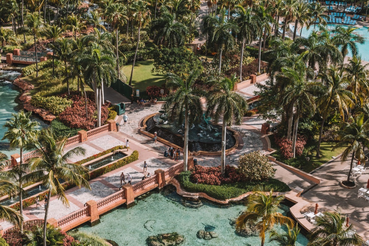 Bahamas Resort with Palm Trees