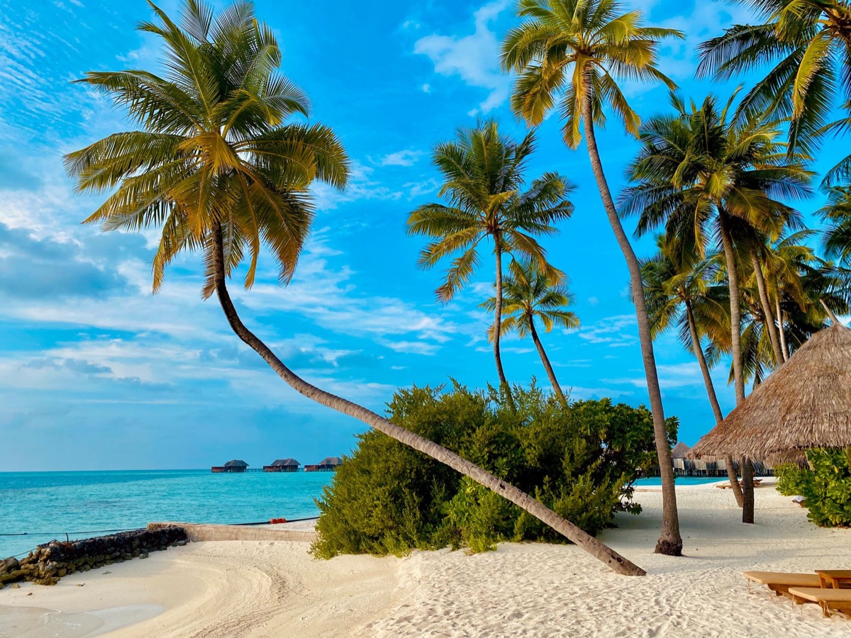Plage tropicale avec sable blanc et eau turquoise