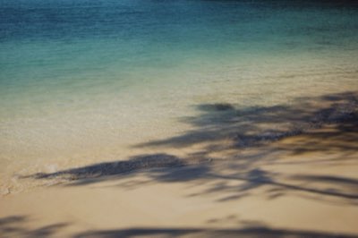 Bahamas: 4 Esperienze da Scegliere alla Sosta di Nassau