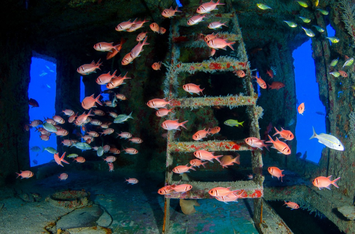 ruines sous-marin avec corail