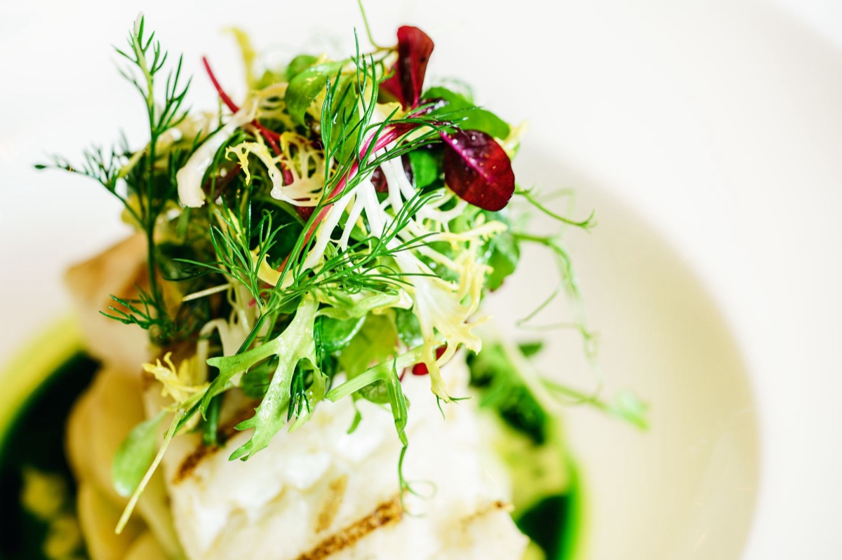 Un plat de conch avec des herbes fraîches