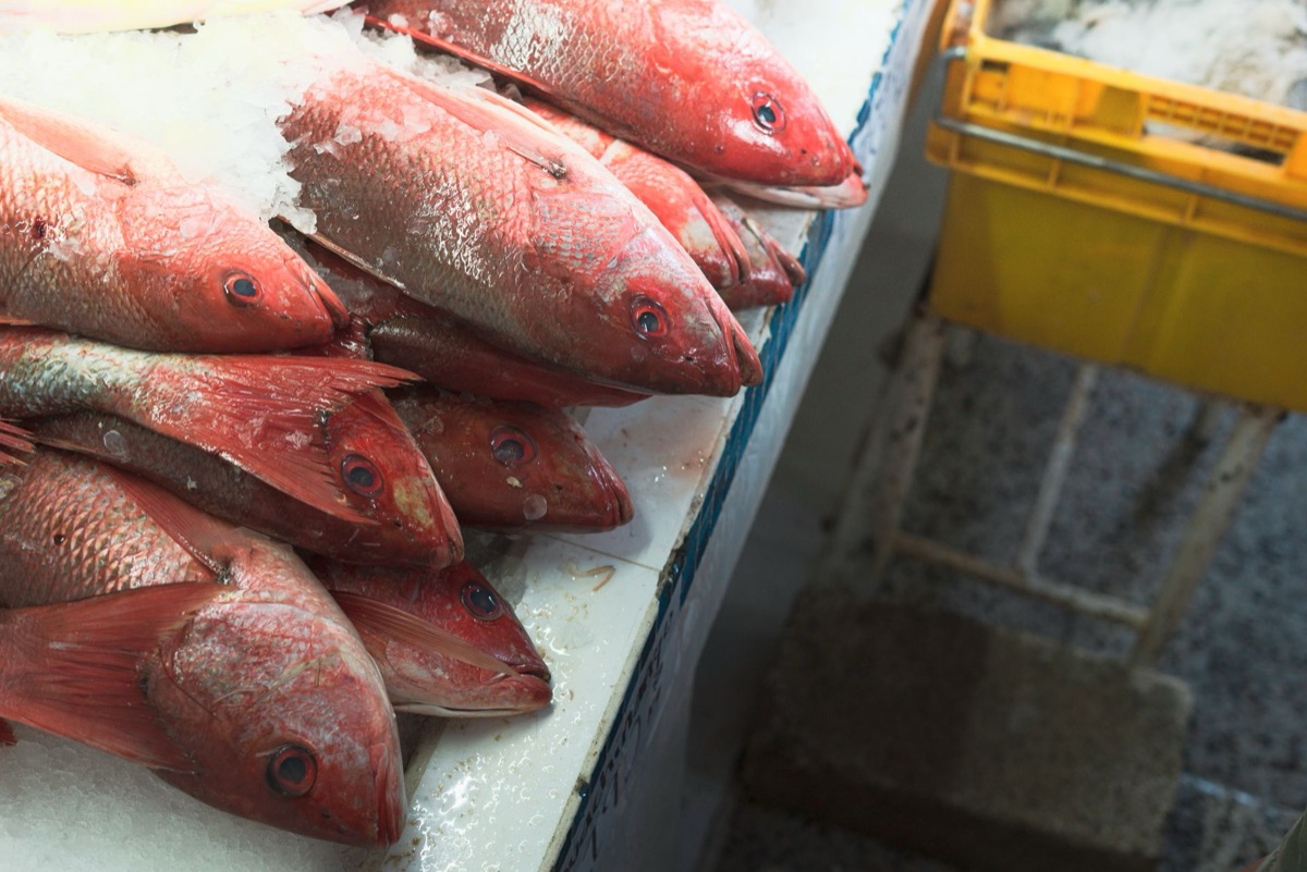 Un mercato di pesce bahamano con pesce fresco e pesci vari