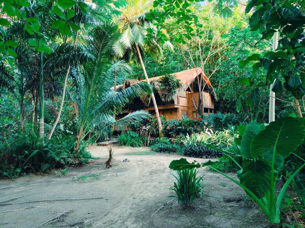 Distillery building with tropical surroundings
