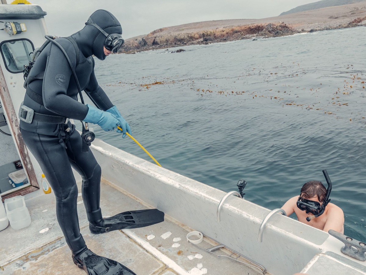 buceador de esponjas en andros