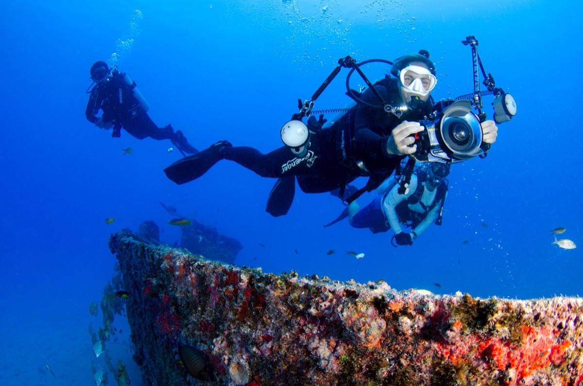 diver harvesting sponge in Bahamas
