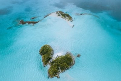 巴哈馬安德羅斯島：屏障礁守護與產業轉型的挑戰完整指南